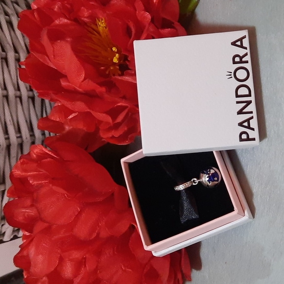 Our Blue Planet Pandora Charm - Picture 2 of 7